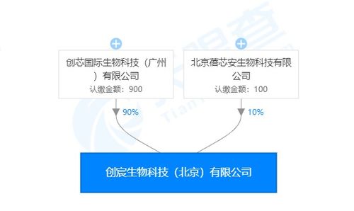 創宸生物獲創芯國際戰略加持，以類器官技術引領個體化醫療新紀元